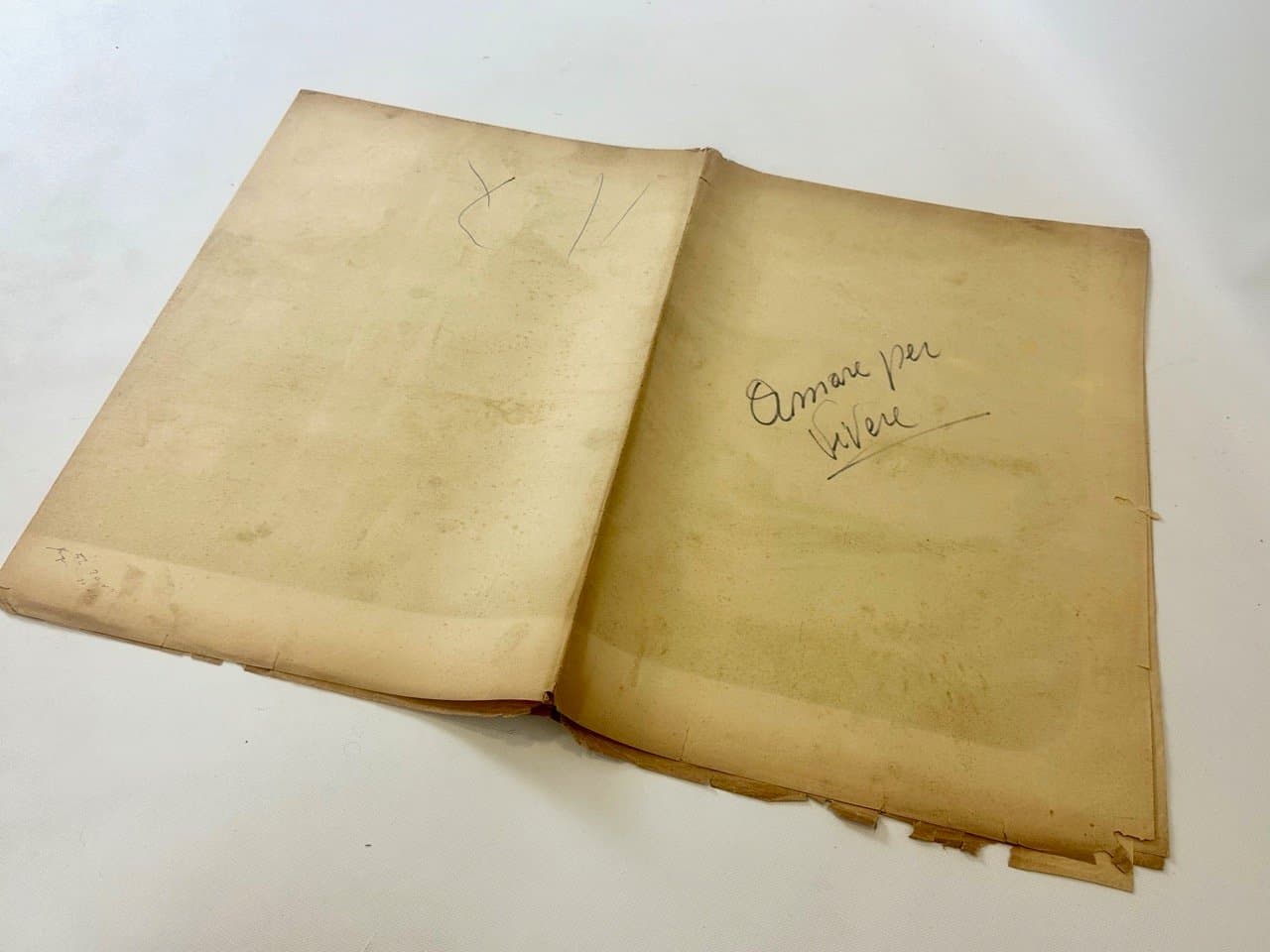 Plakat filmowy Amare Per Vivere, 100x140 cm, multikolor, papier, Włochy, lata 60. - 152964