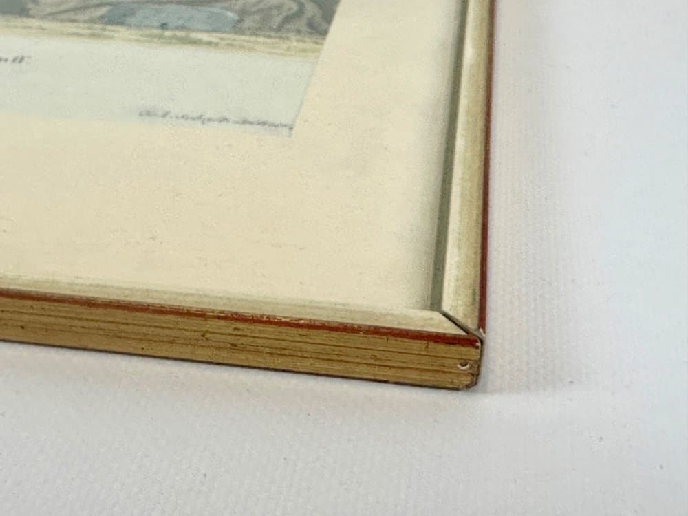 Print Monkey, multicolor, copperplate engraving, by J.S. Leitner, Germany, 18th c. - 153107