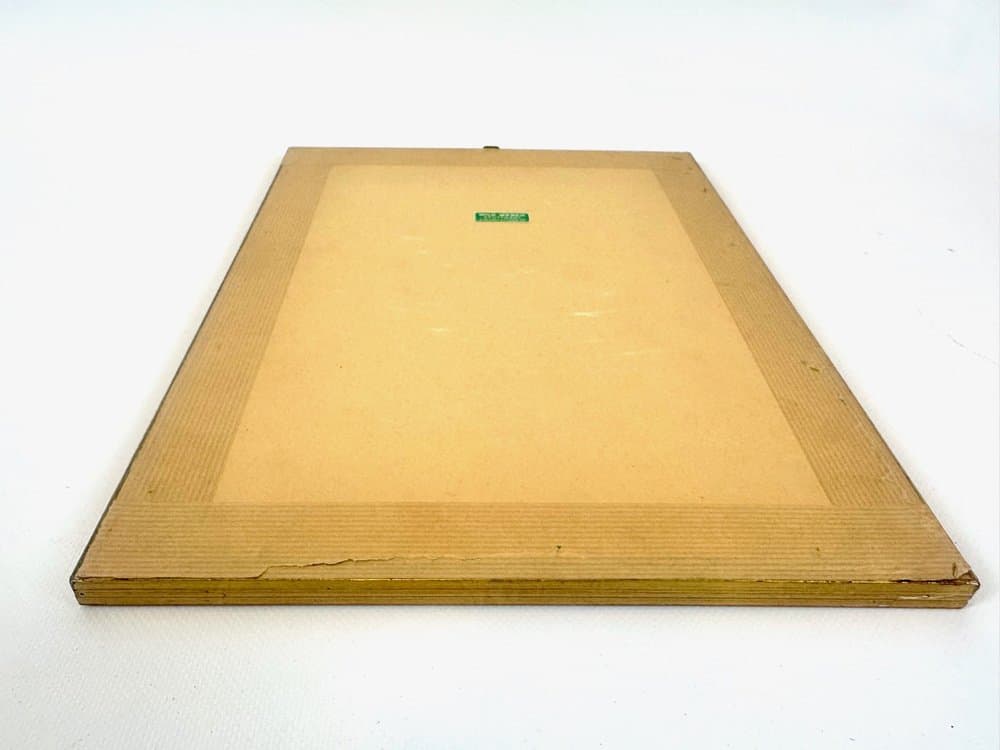 Print Monkey, multicolor, copperplate engraving, by J.S. Leitner, Germany, 18th c. - 153114