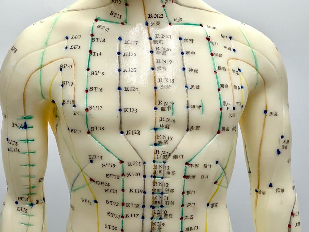 Figurka anatomiczna Meridian, kość słoniowa, plastik, drewno, Niemcy, lata 70. - 155684
