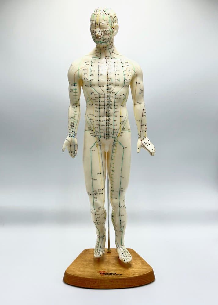 Figurka anatomiczna Meridian, kość słoniowa, plastik, drewno, Niemcy, lata 70. - 155685