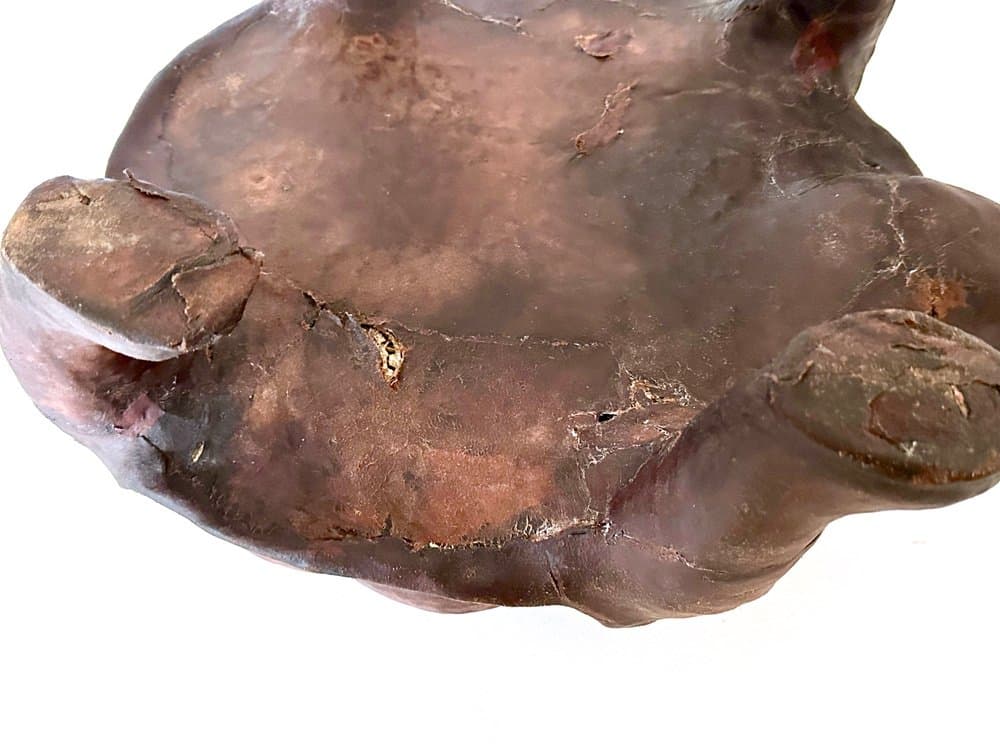 Figura żółwia, brązowy, skóra naturalna, lata 60. - 155888