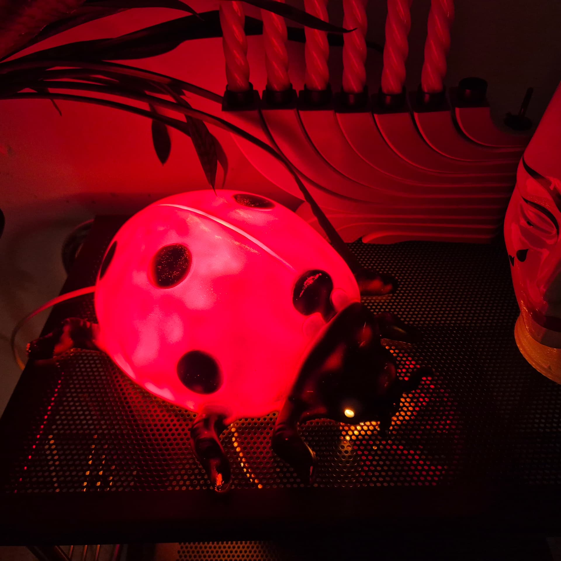 Lampa ścienna Biedronka, czerwona czarne kropki, plastik, Heico, Niemcy, lata 90. - 142654