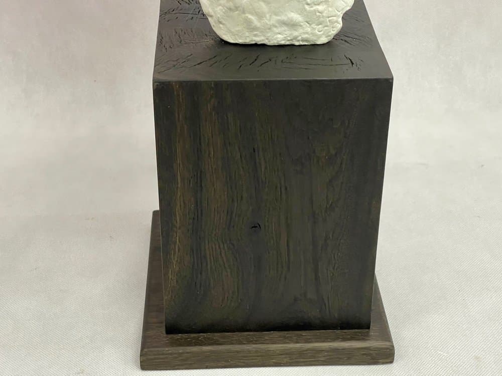 Komplet rzeźb Popiersie Pani M. S., brąz brązowy, gips biały, dąb czarny, art. J. Galica, Polska, lata 60. - 156820