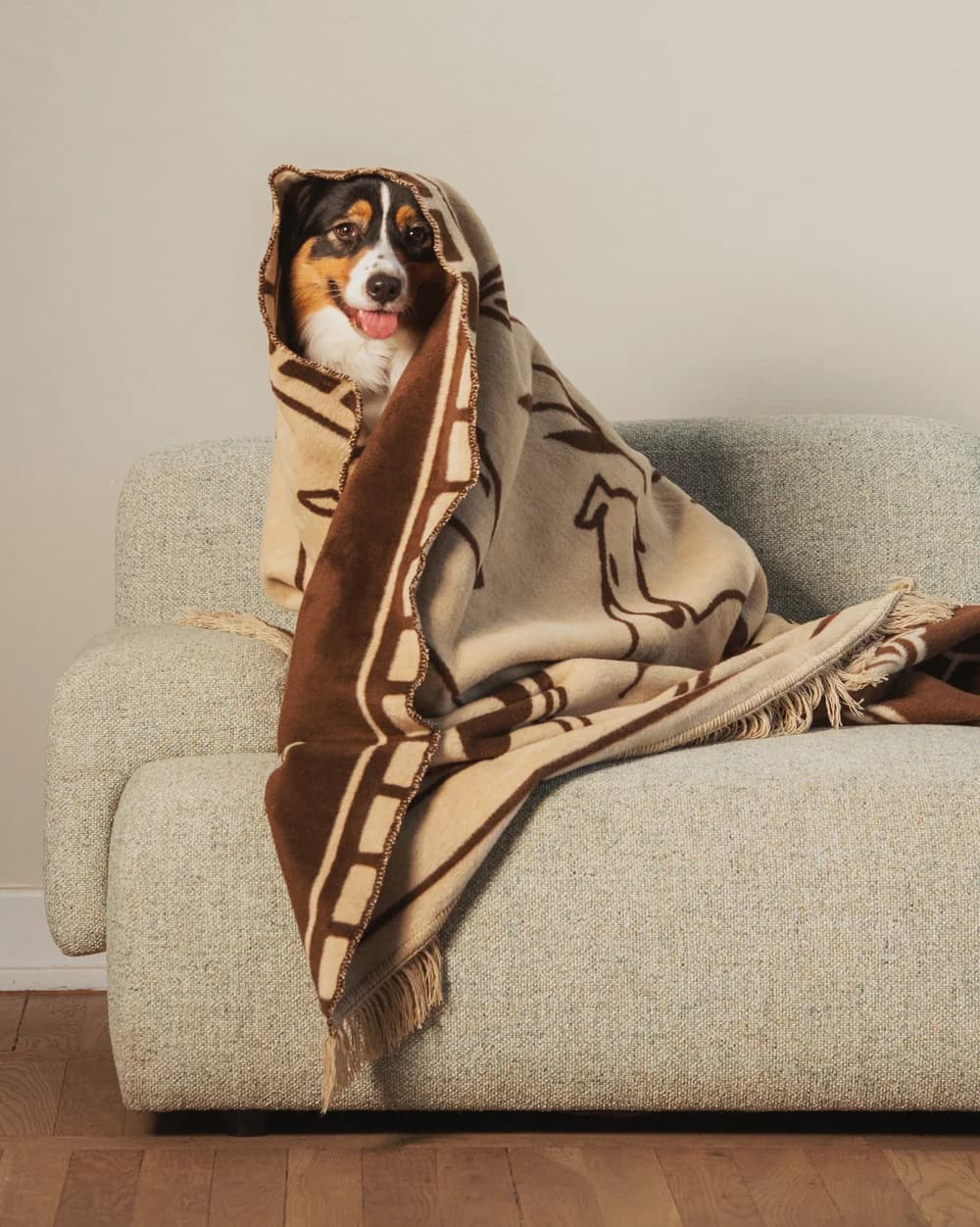 Koc Pawfect 200x150 cm beżowo-brązowy, Feum - 147594