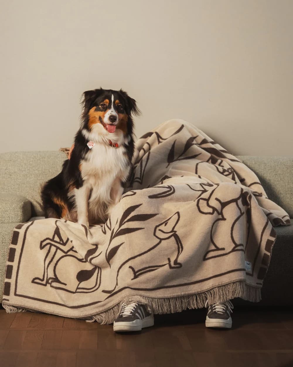 Koc Pawfect 200x150 cm beżowo-brązowy, Feum - 147589