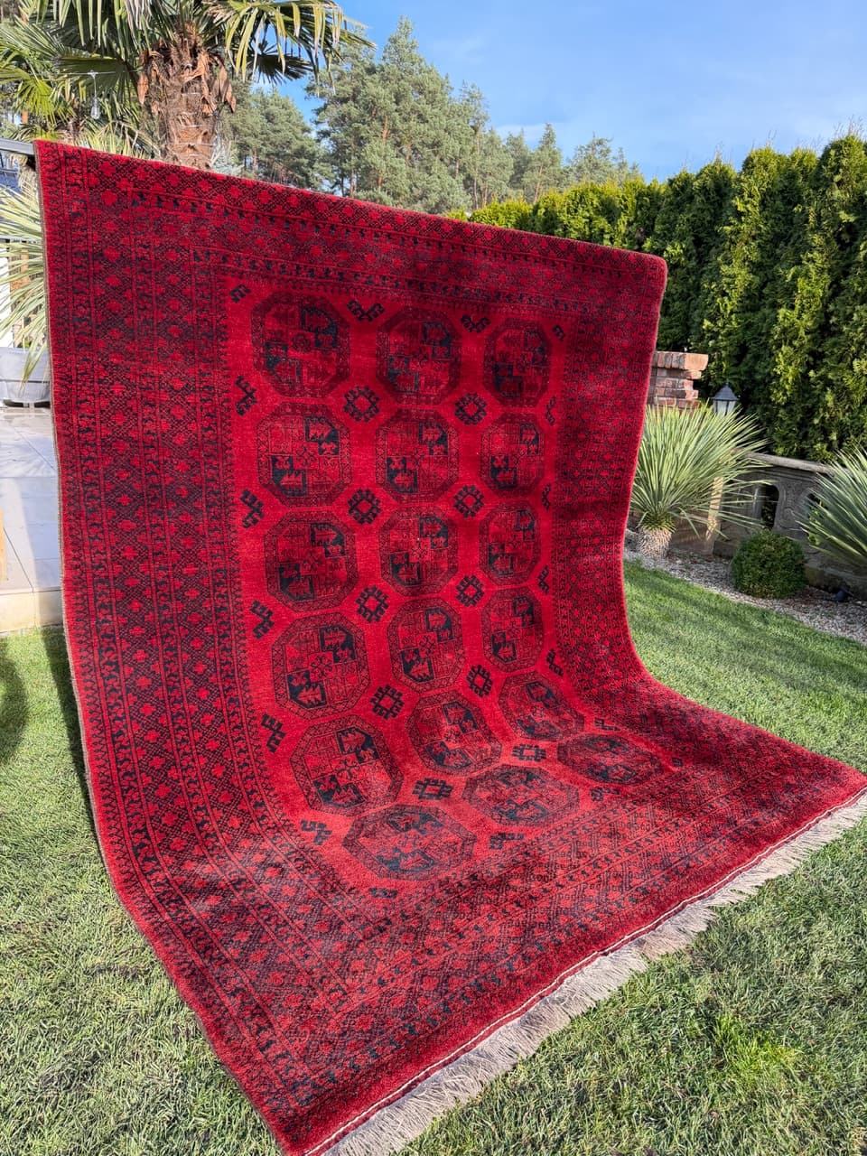 Rug Afghan, 335x255 cm, red wool, Afghanistan, early 20th c. - 157770