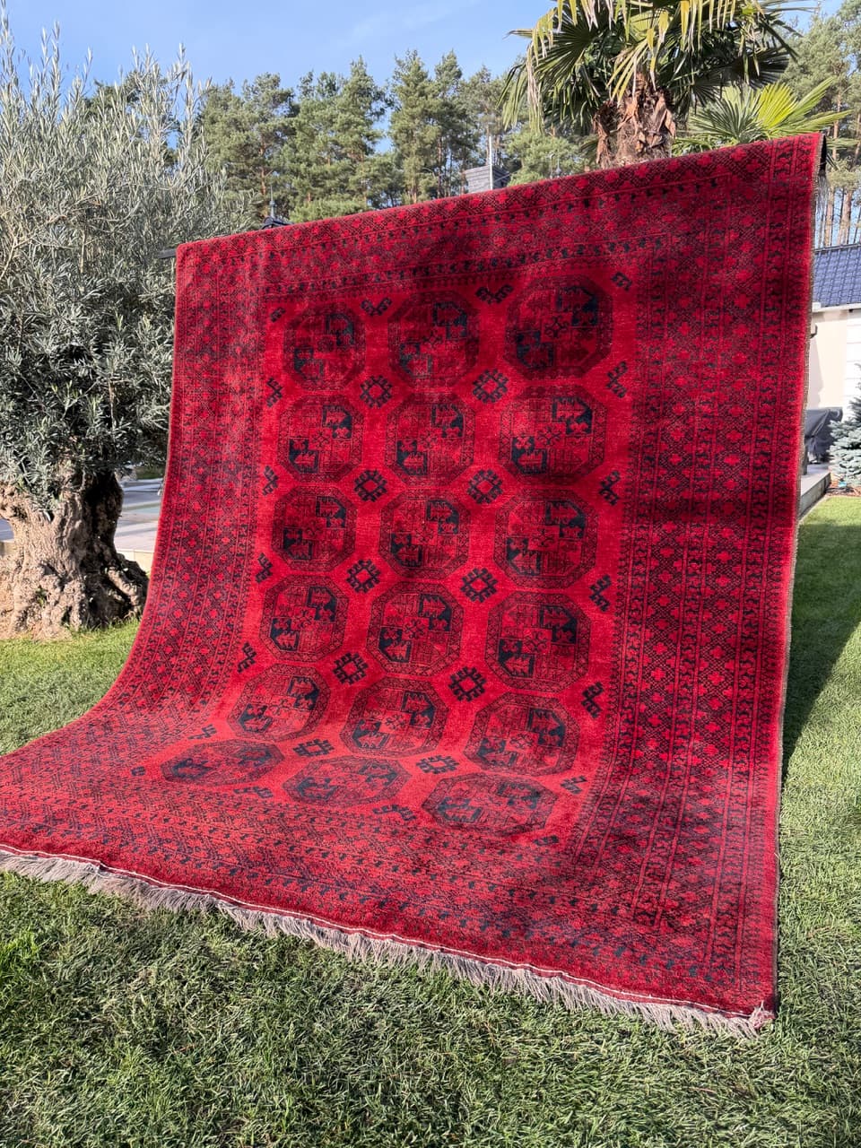 Rug Afghan, 335x255 cm, red wool, Afghanistan, early 20th c. - 157769