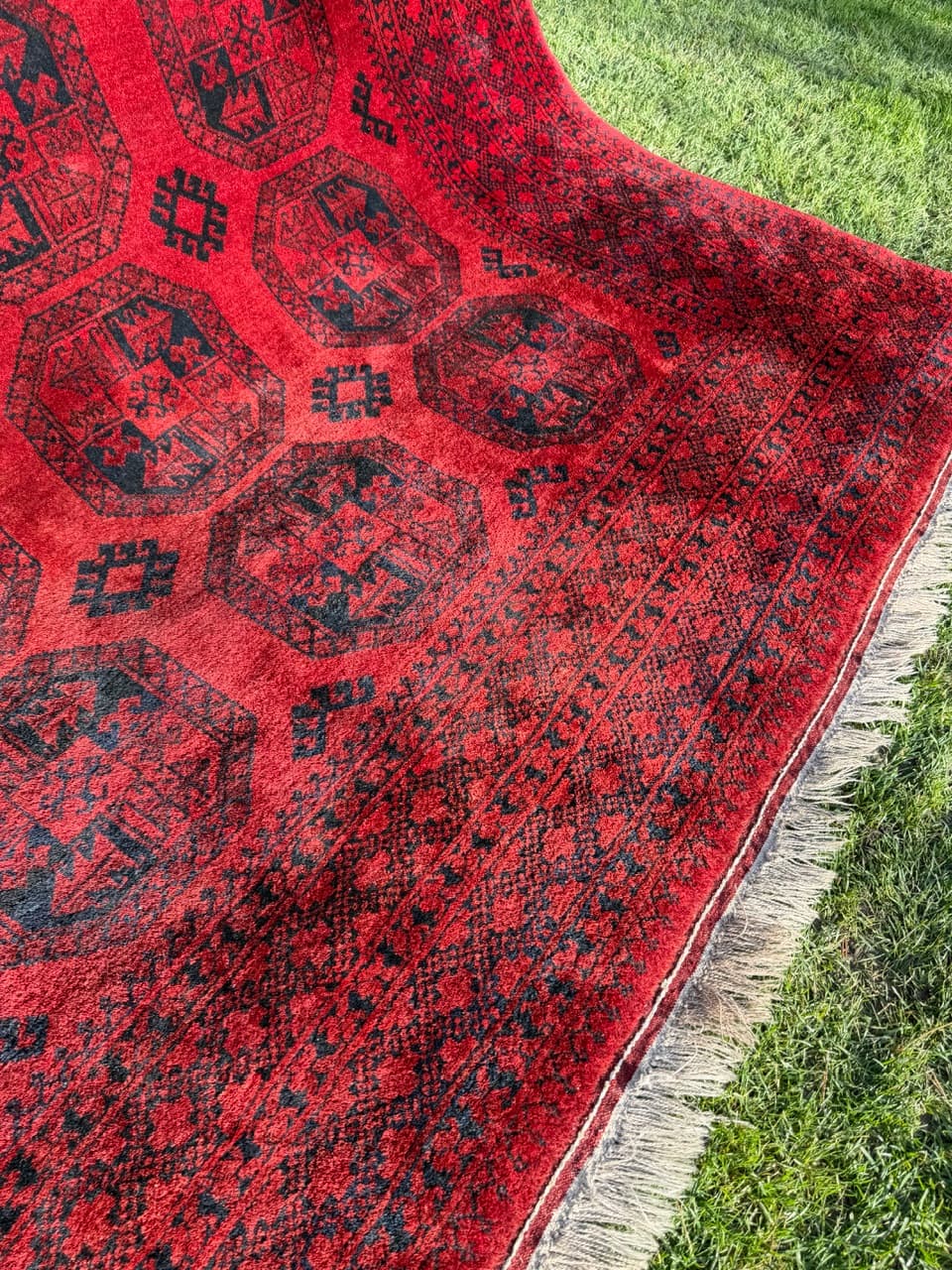 Rug Afghan, 335x255 cm, red wool, Afghanistan, early 20th c. - 157776