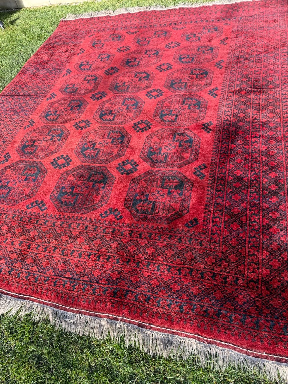 Rug Afghan, 335x255 cm, red wool, Afghanistan, early 20th c. - 157779