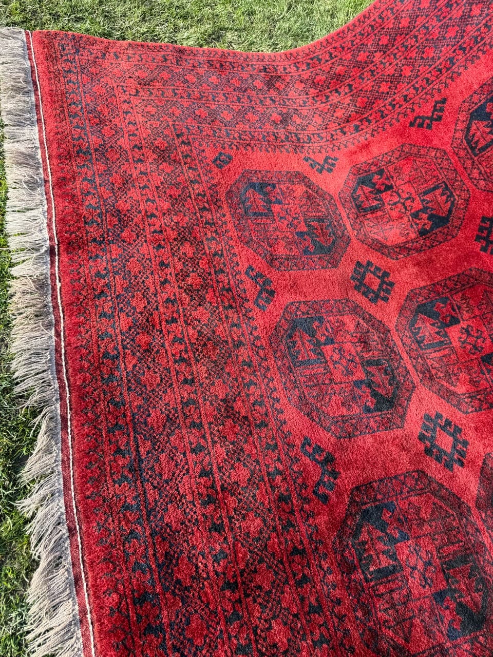 Rug Afghan, 335x255 cm, red wool, Afghanistan, early 20th c. - 157771