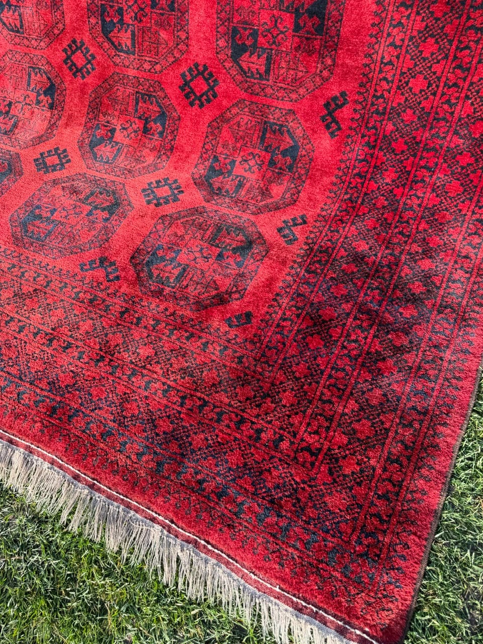 Rug Afghan, 335x255 cm, red wool, Afghanistan, early 20th c. - 157772