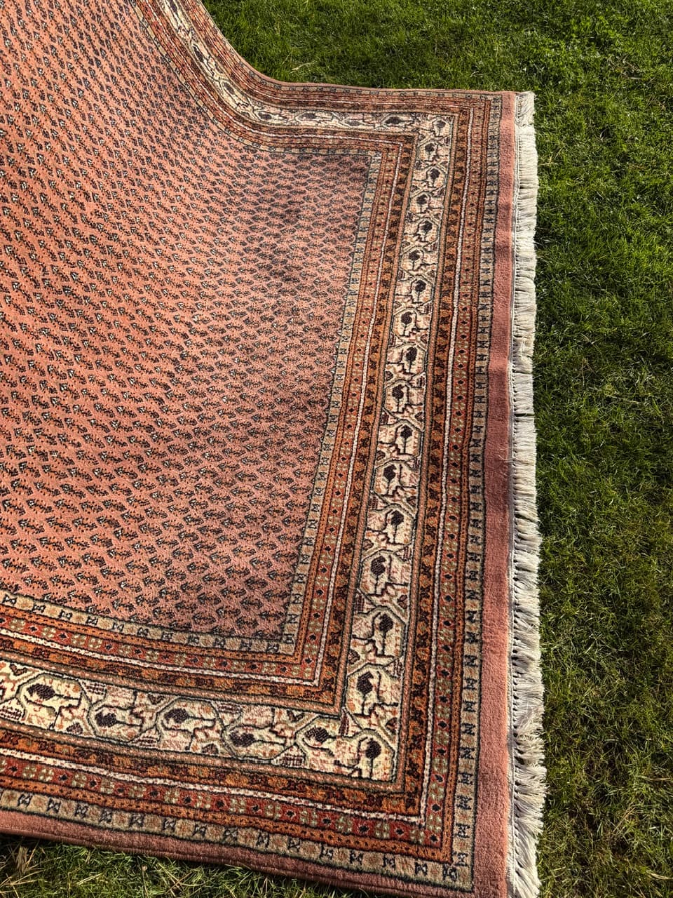 Dywan Indo Mir, czerwony, wełna, Indie - 158832