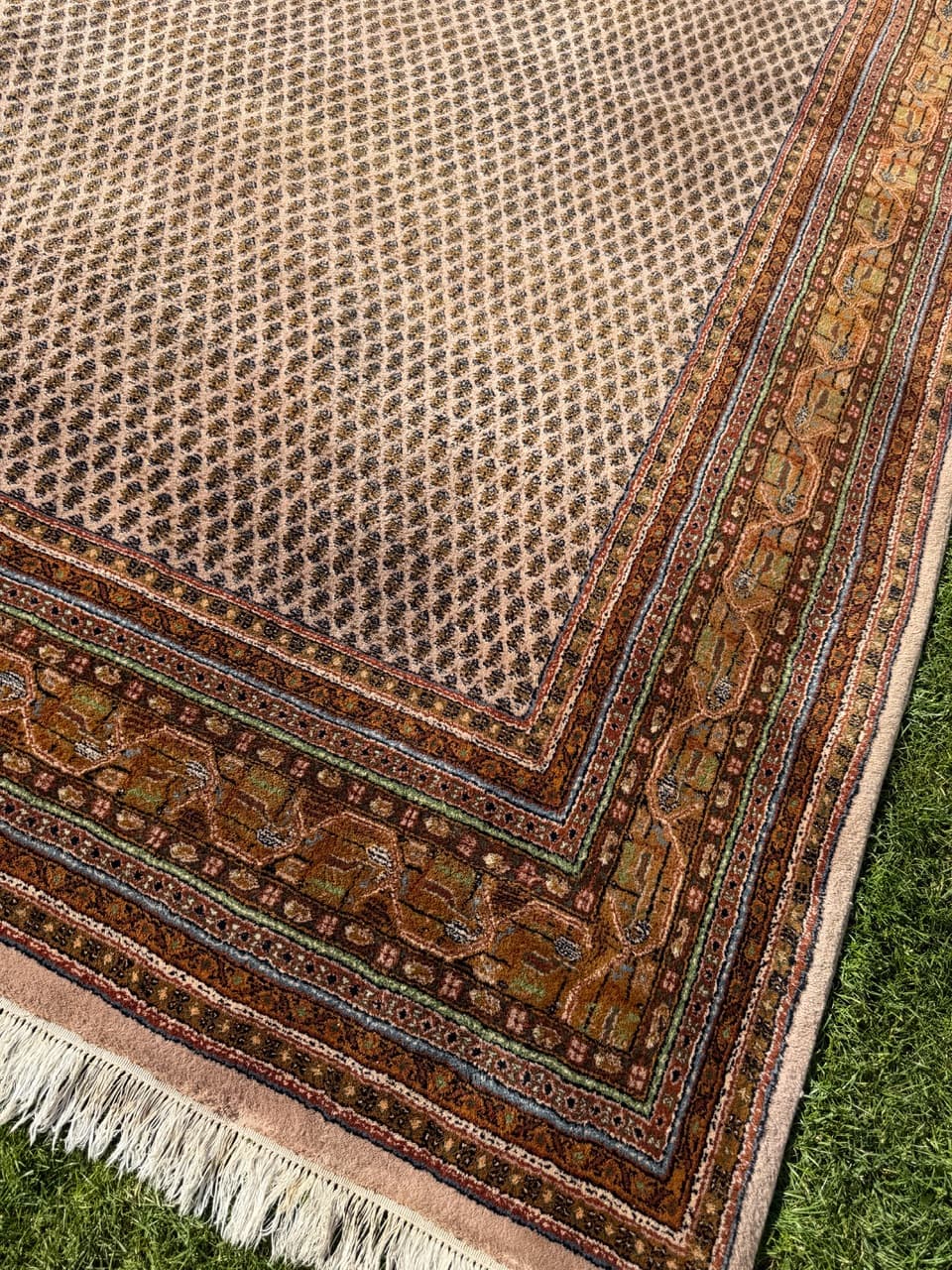 Dywan Indo Mir 365x255 cm, beżowy, wełna, Indie - 158868