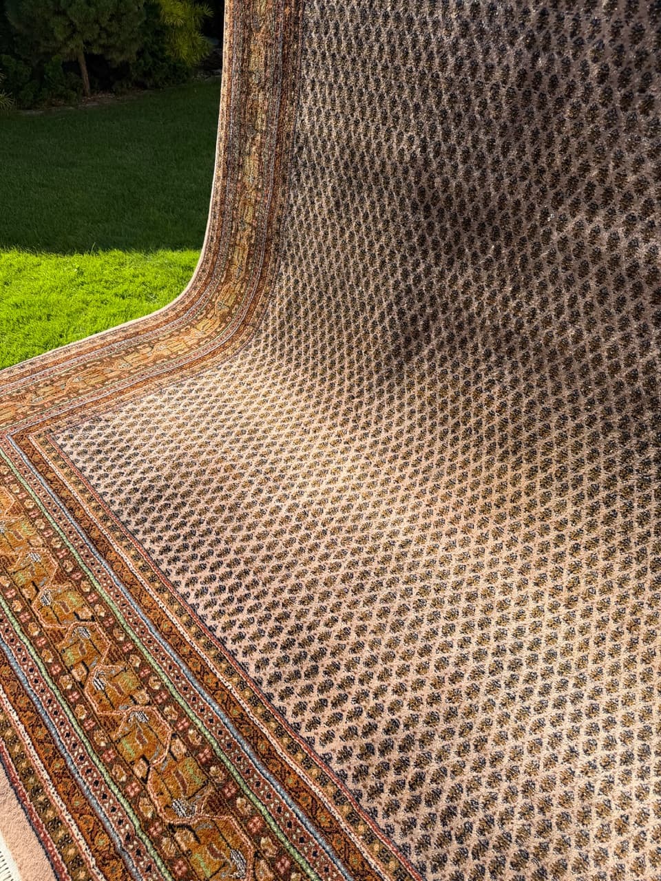 Dywan Indo Mir 365x255 cm, beżowy, wełna, Indie - 158857