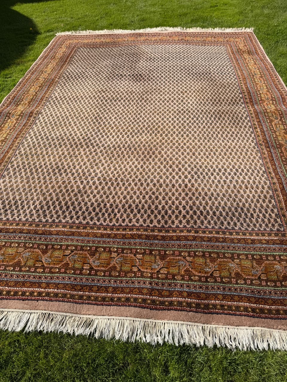 Dywan Indo Mir 365x255 cm, beżowy, wełna, Indie - 158866