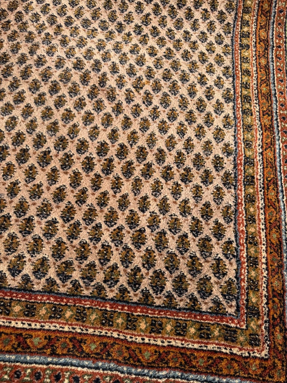 Dywan Indo Mir 365x255 cm, beżowy, wełna, Indie - 158864