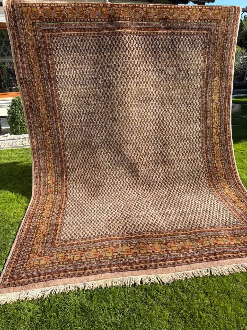 Dywan Indo Mir 365x255 cm, beżowy, wełna, Indie - 158859