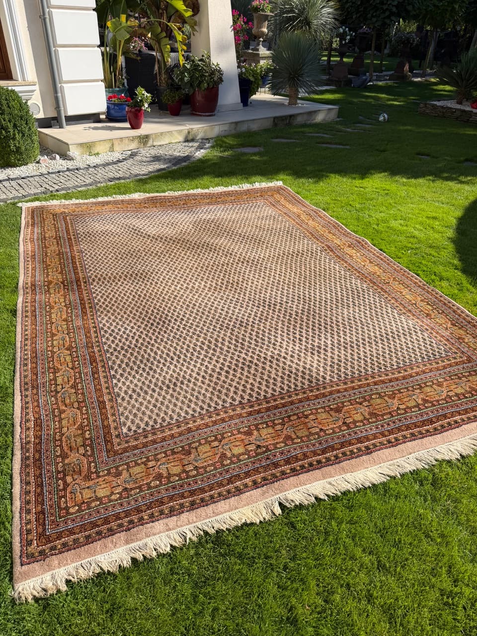 Dywan Indo Mir 365x255 cm, beżowy, wełna, Indie - 158863