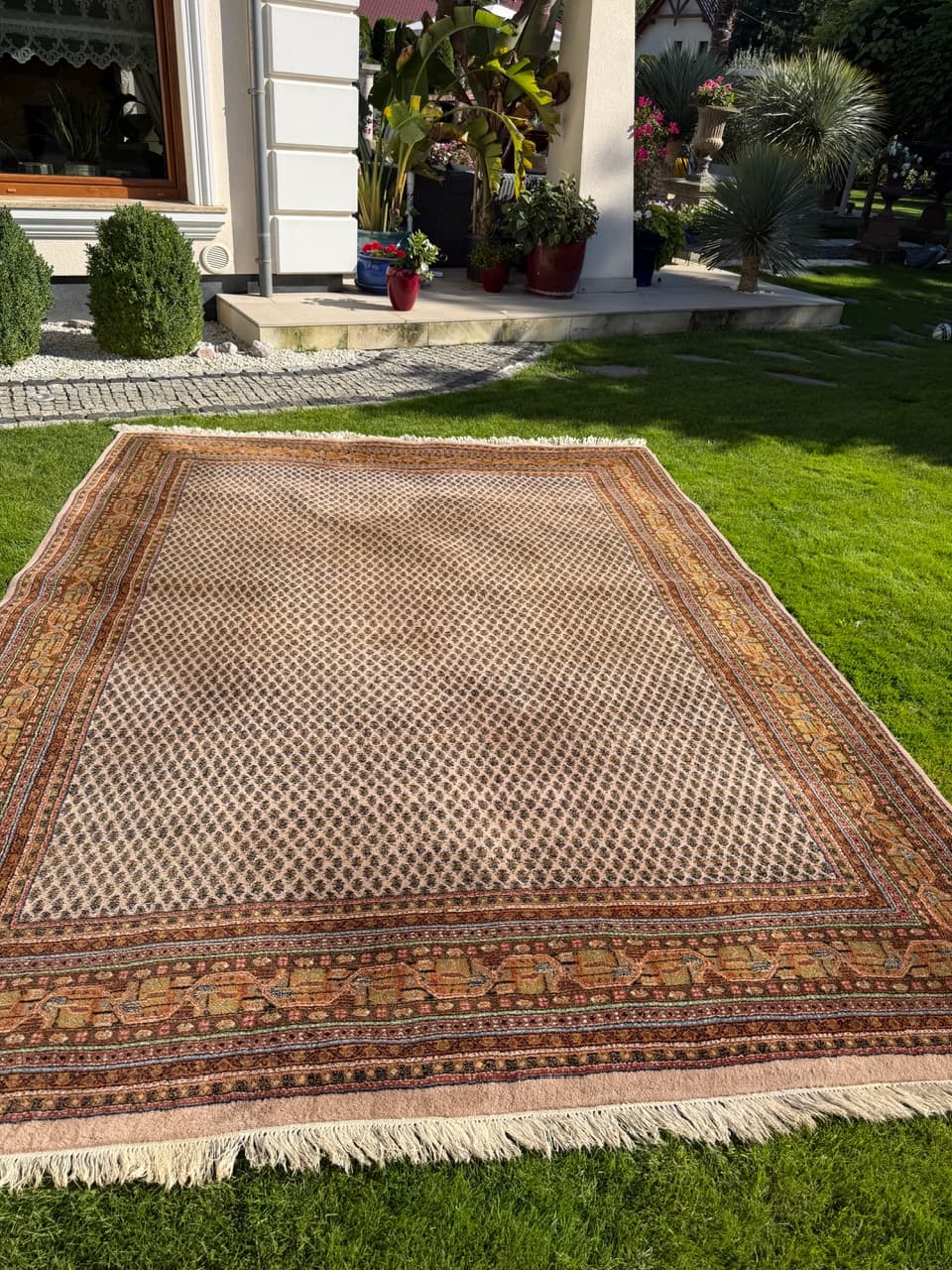 Dywan Indo Mir 365x255 cm, beżowy, wełna, Indie - 158865