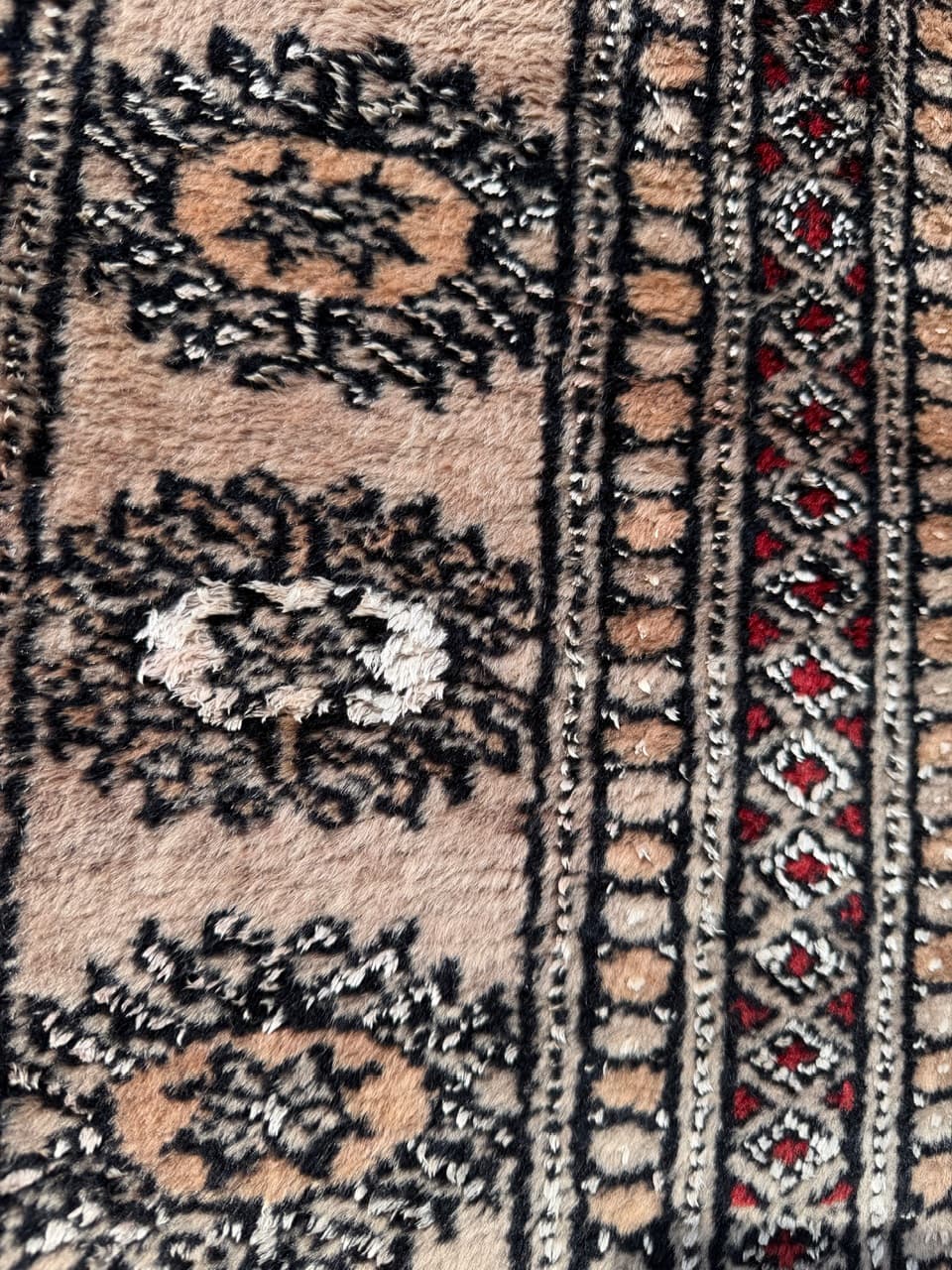 Rug Buchara, red, Kashmiri wool, Pakistan, 1990s. - 158873