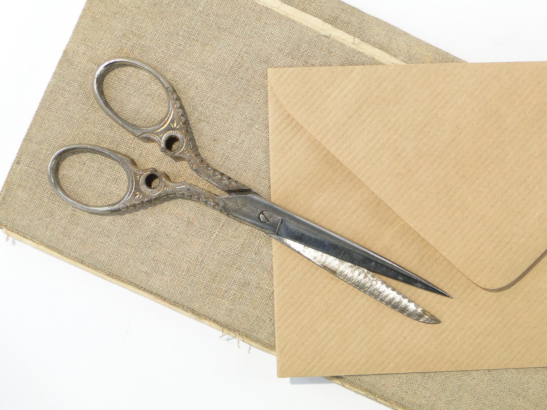 Nożyczki kute, z koniczyną, Niemcy 1900 r - 159239