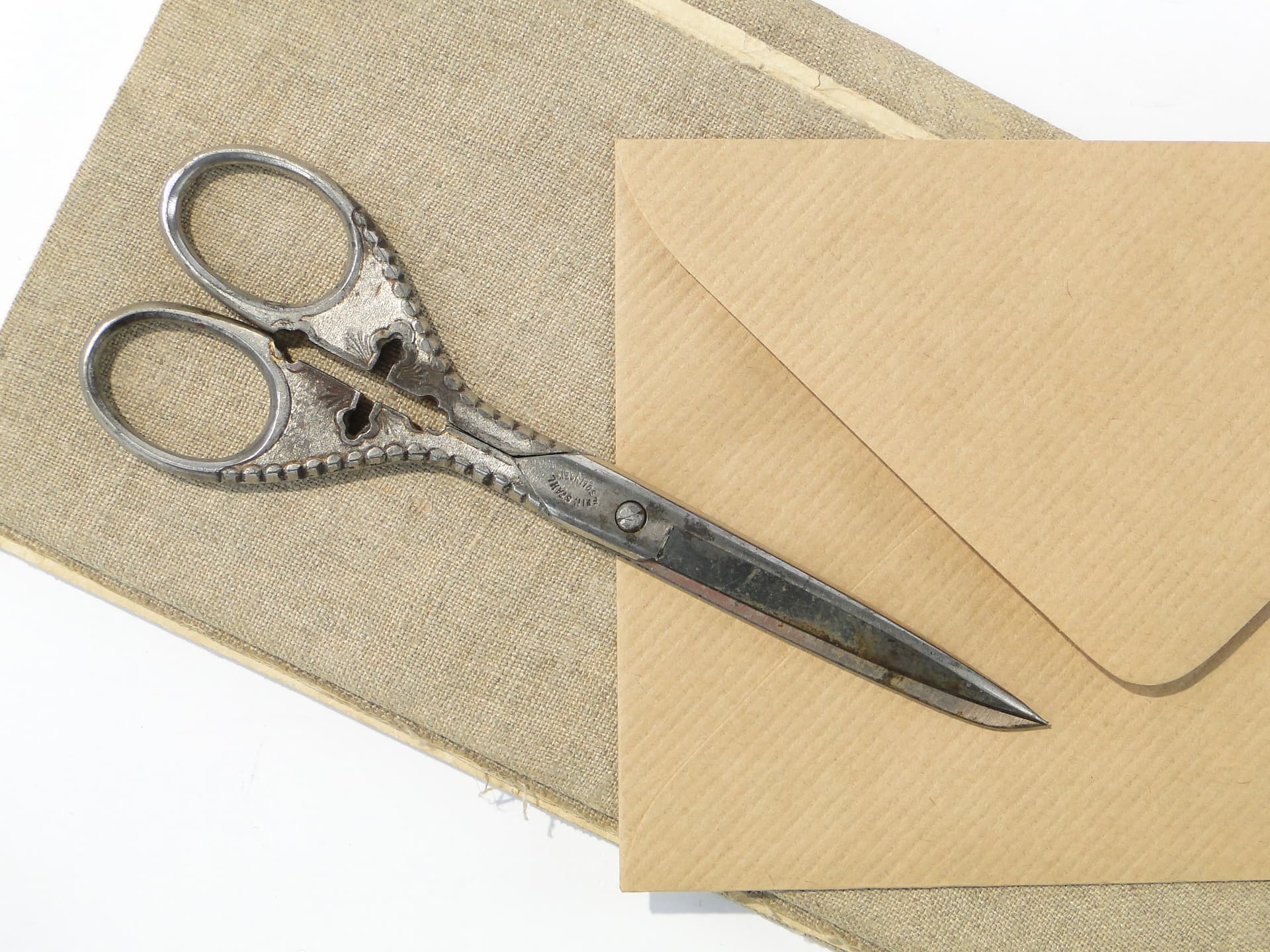 Nożyczki stołowe secesyjne, srebrny stal, Niemcy, początek XX w. - 159248