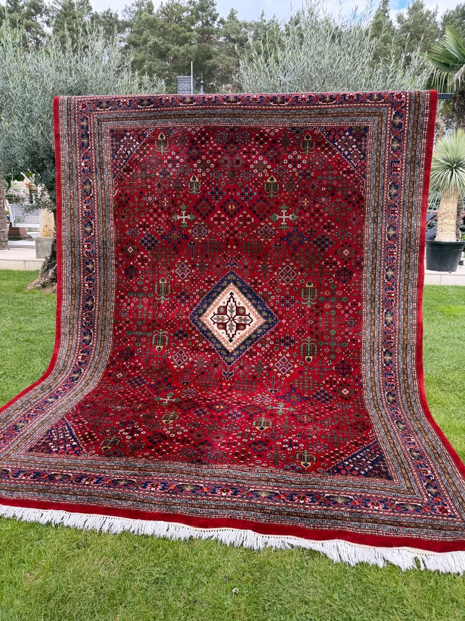 Dywan Indo Bidjar, multikolor, wełna, Indie - 160122