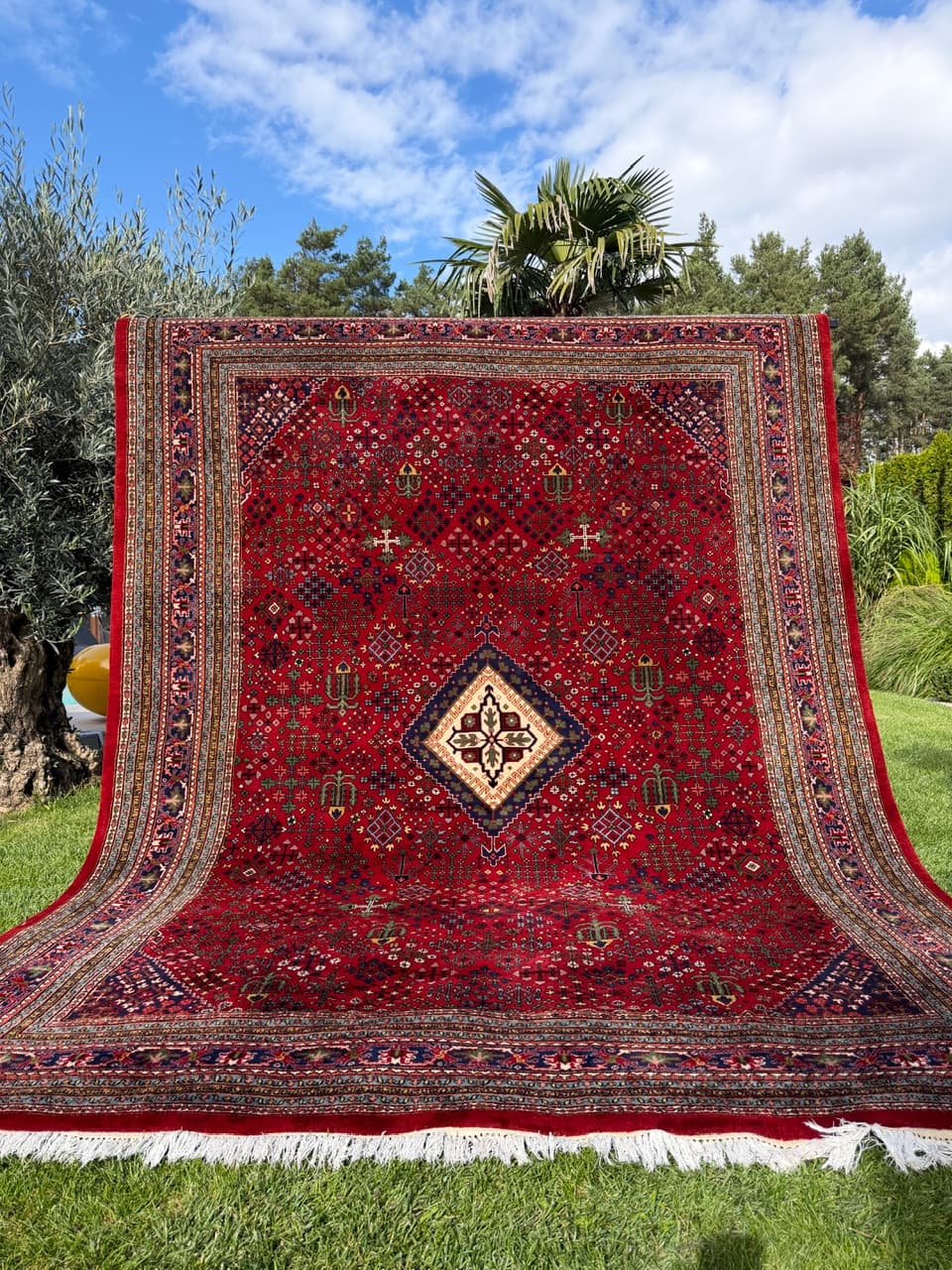 Dywan Indo Bidjar, multikolor, wełna, Indie - 160131