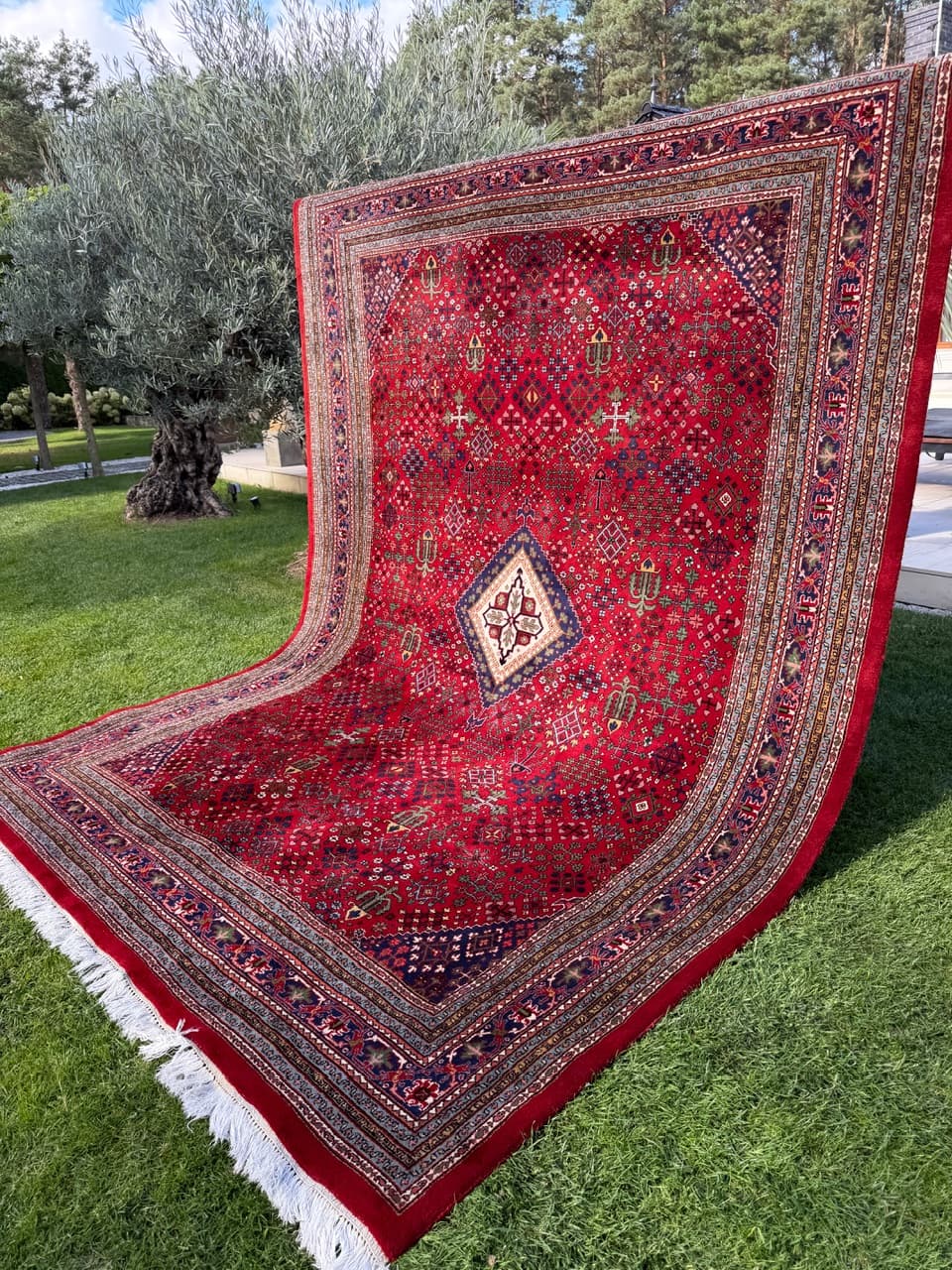 Dywan Indo Bidjar, multikolor, wełna, Indie - 160135