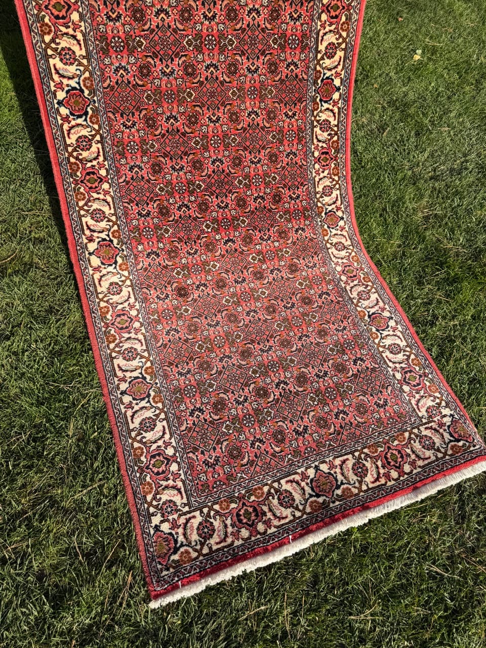 Runner Bidjar, red wool, Iran - 160143