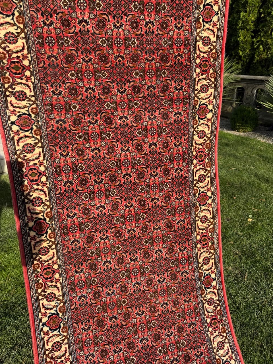 Runner Bidjar, red wool, Iran - 160144