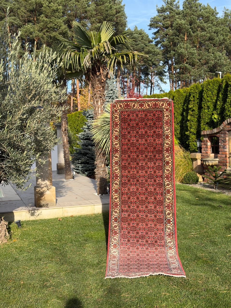 Runner Bidjar, red wool, Iran - 160137