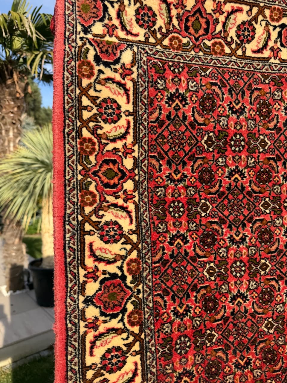 Runner Bidjar, red wool, Iran - 160138