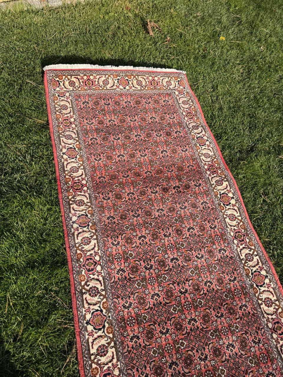 Runner Bidjar, red wool, Iran - 160146