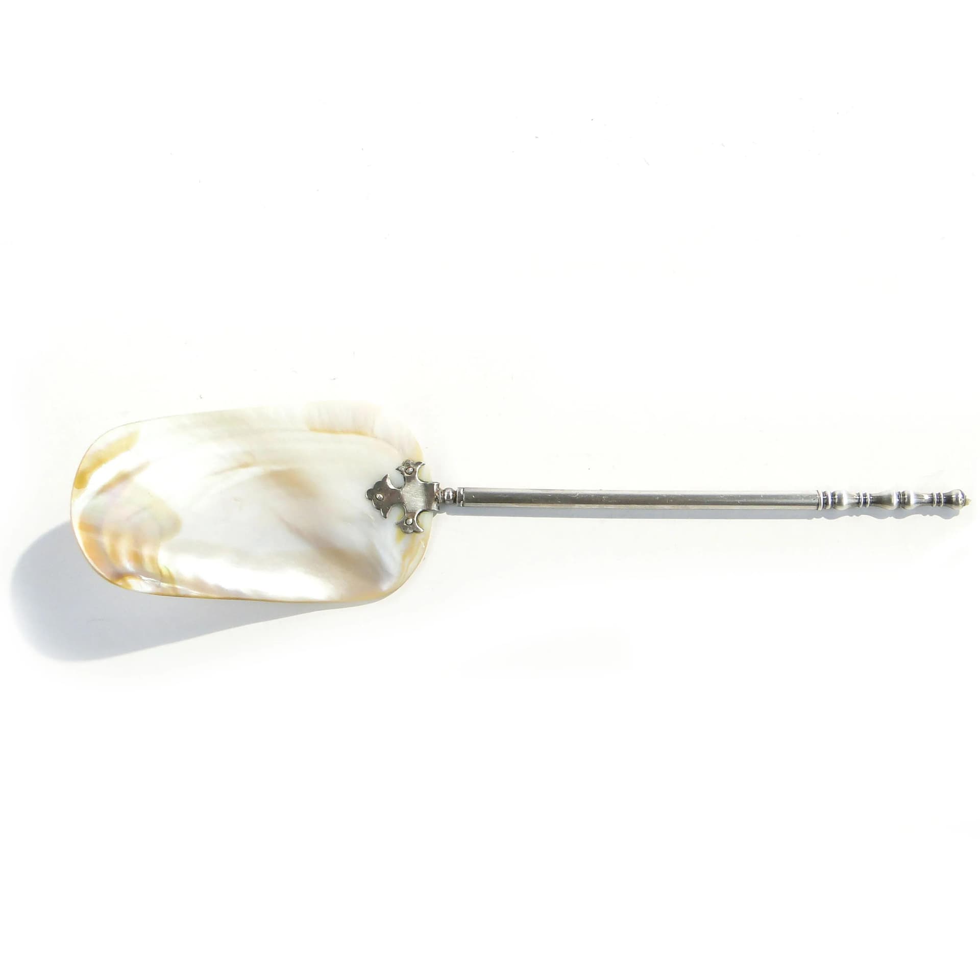 Caviar spoon, beige shell, silver-plated brass, Austria, 19th c. - 163574