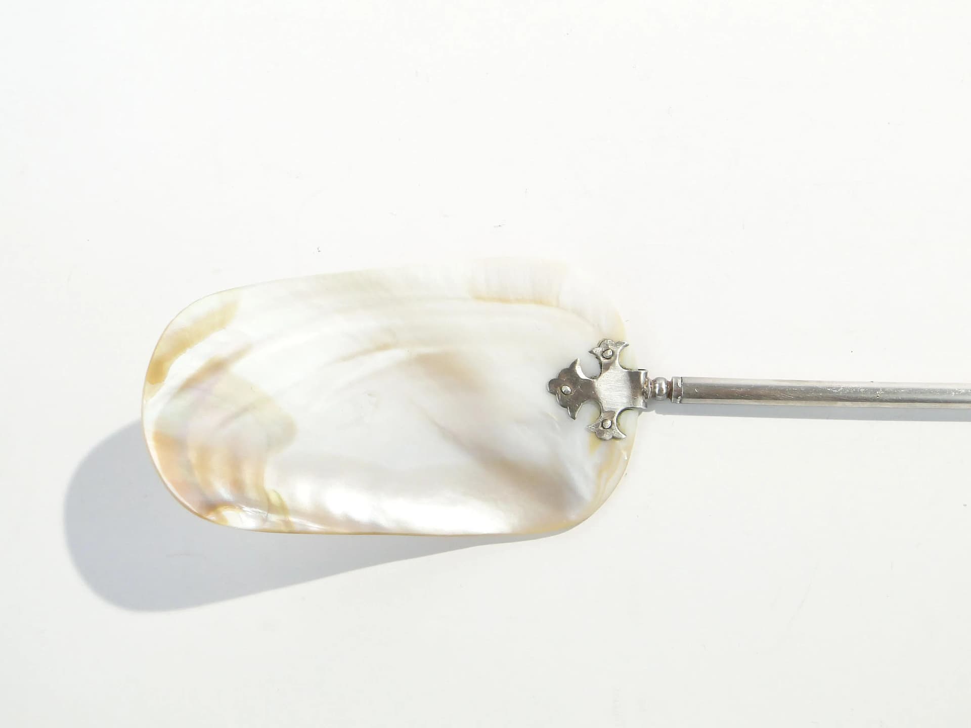 Caviar spoon, beige shell, silver-plated brass, Austria, 19th c. - 163575