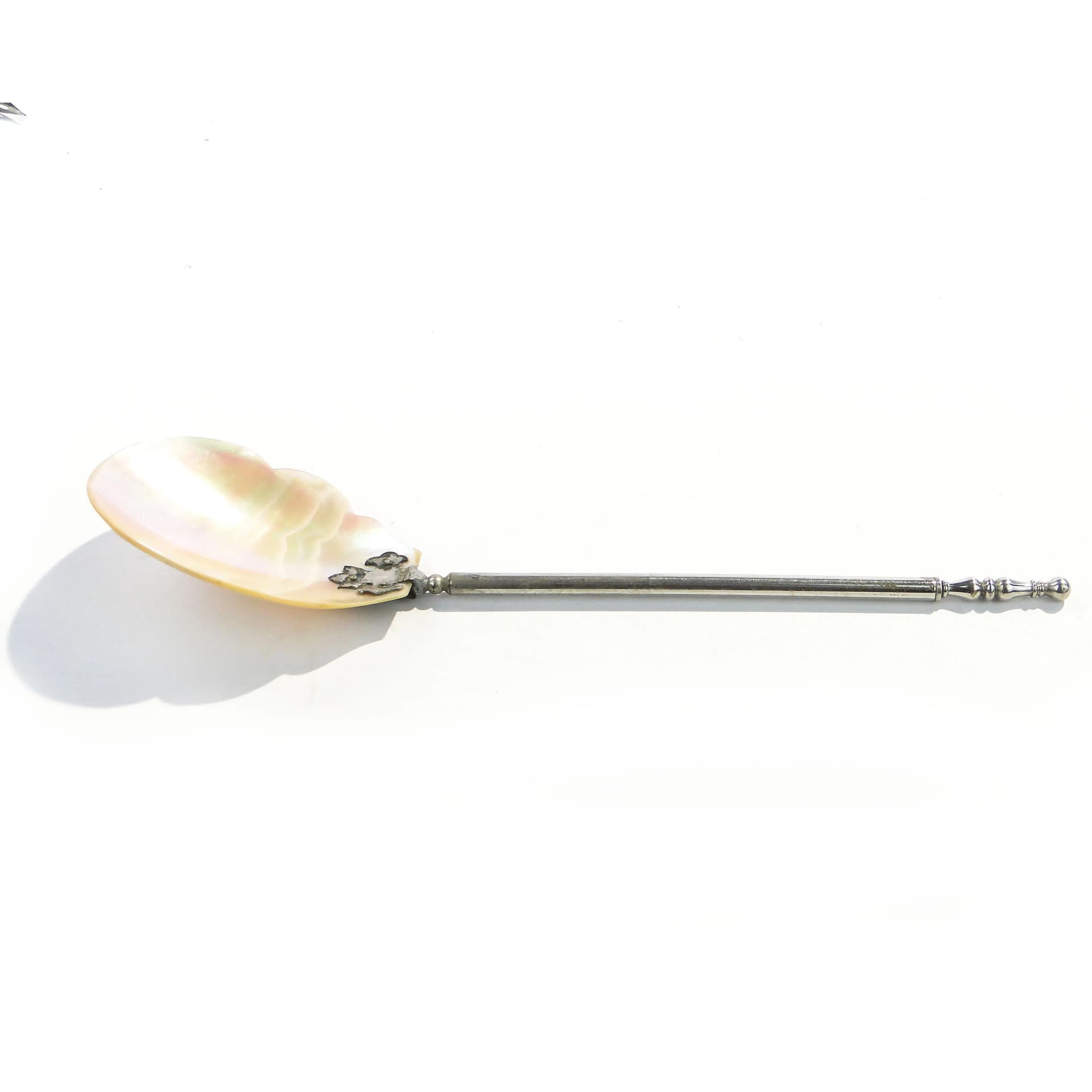 Serving Spoon, beige shell, silver-plated brass, Austria, 1890s - 163441