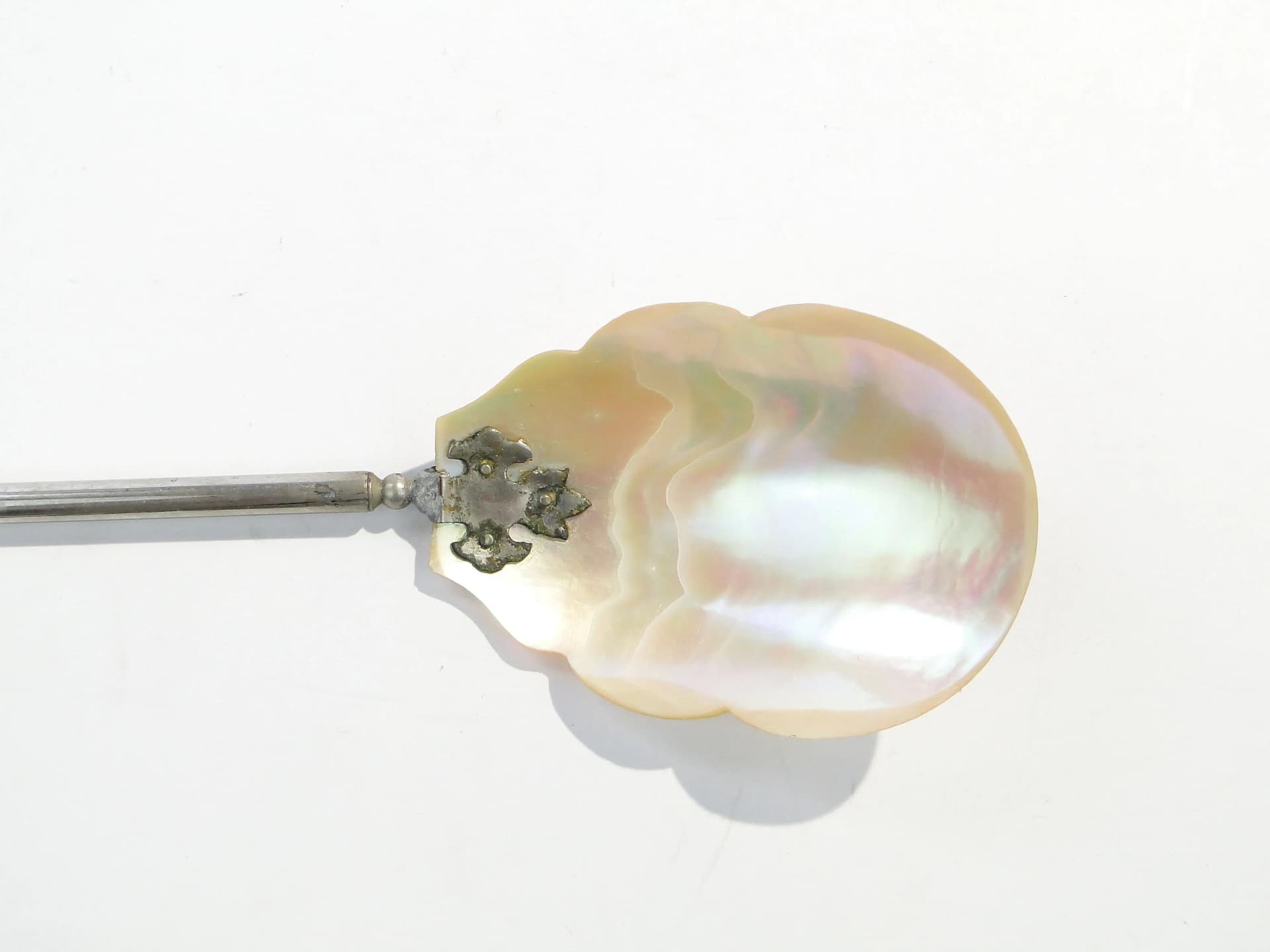 Serving Spoon, beige shell, silver-plated brass, Austria, 1890s - 163436