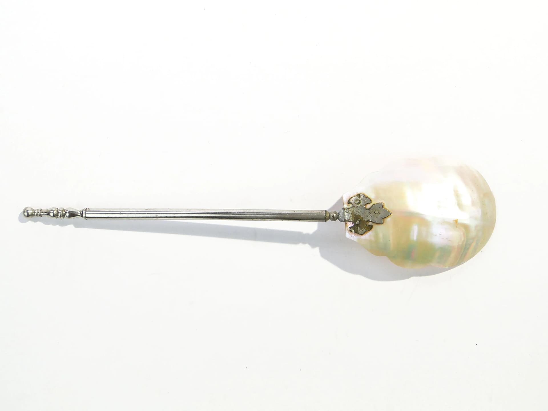 Serving Spoon, beige shell, silver-plated brass, Austria, 1890s - 163439