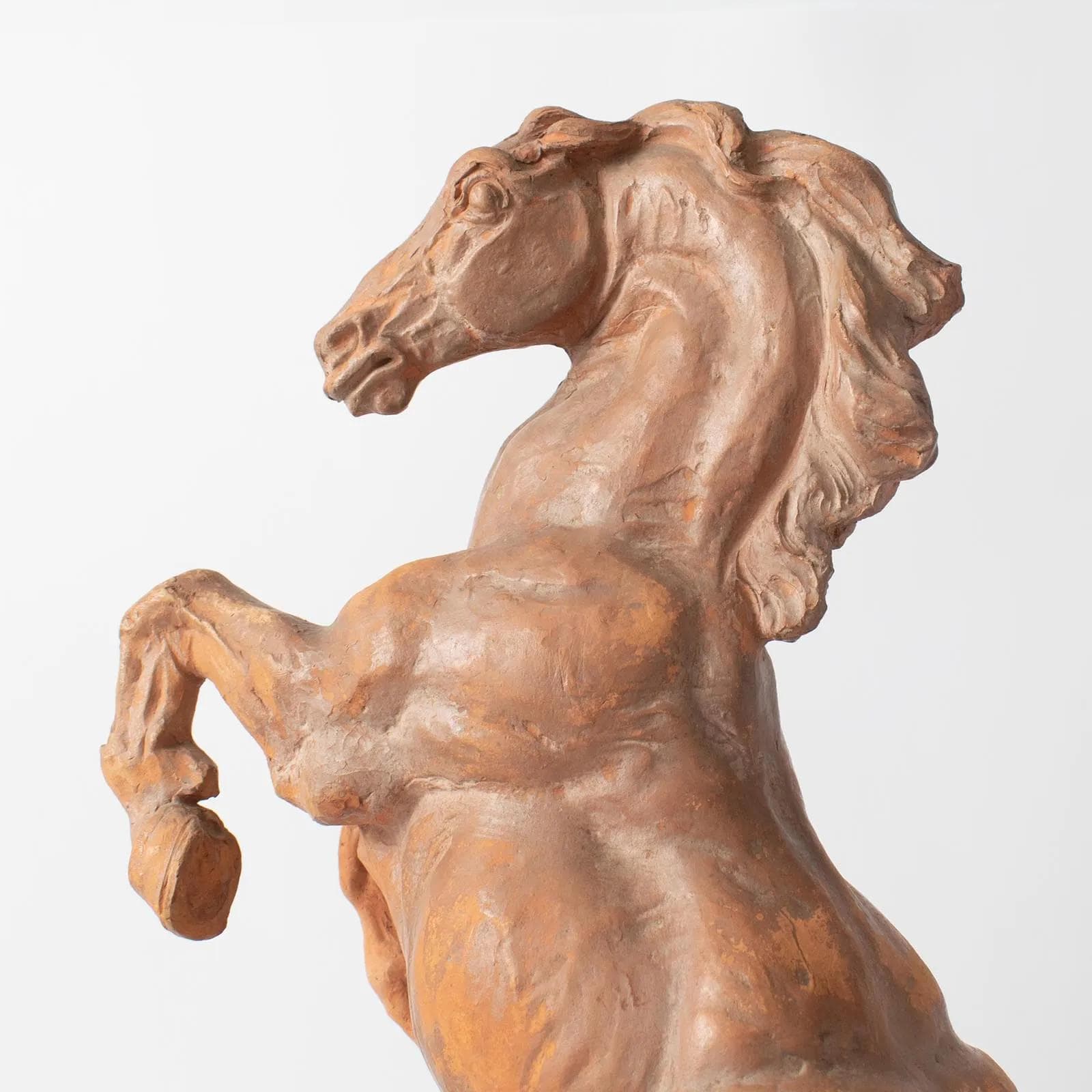 Sculpture Horse, orange terracotta, by M. Waucquez, Belgium, 1930s - 164855
