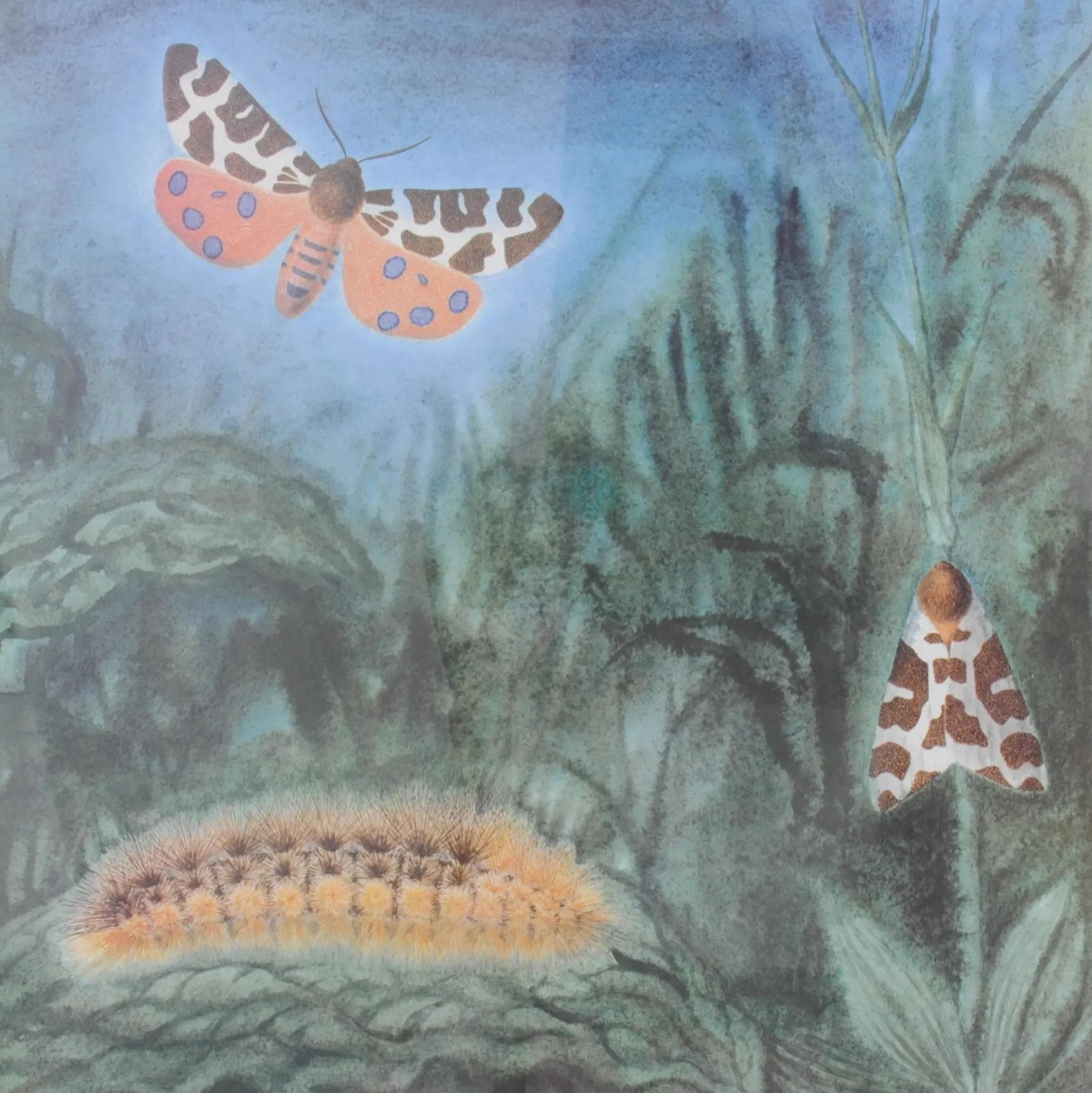 Pair of entomological charts, multicolor, wood, plexiglass, Czechoslovakia, 1980s. - 164622