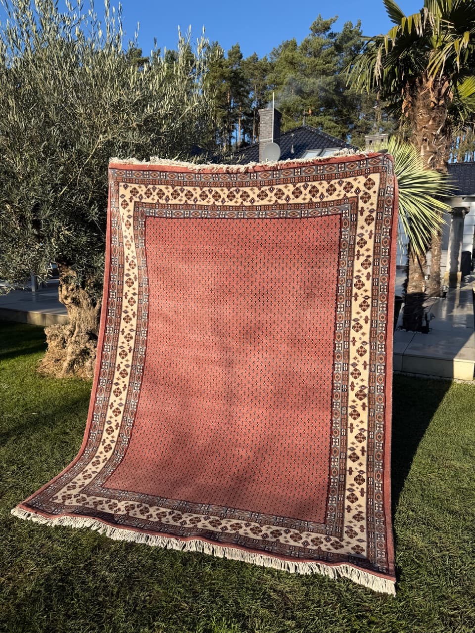 Dywan Indo Mir 240x177 cm, brązowy, wełna, Indie - 164963