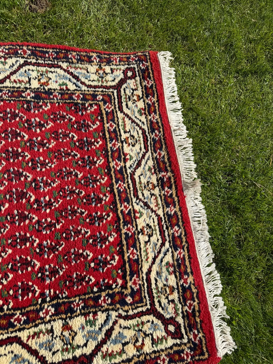 Chodnik Indo Mir, czerwony, wełna, Indie - 167049