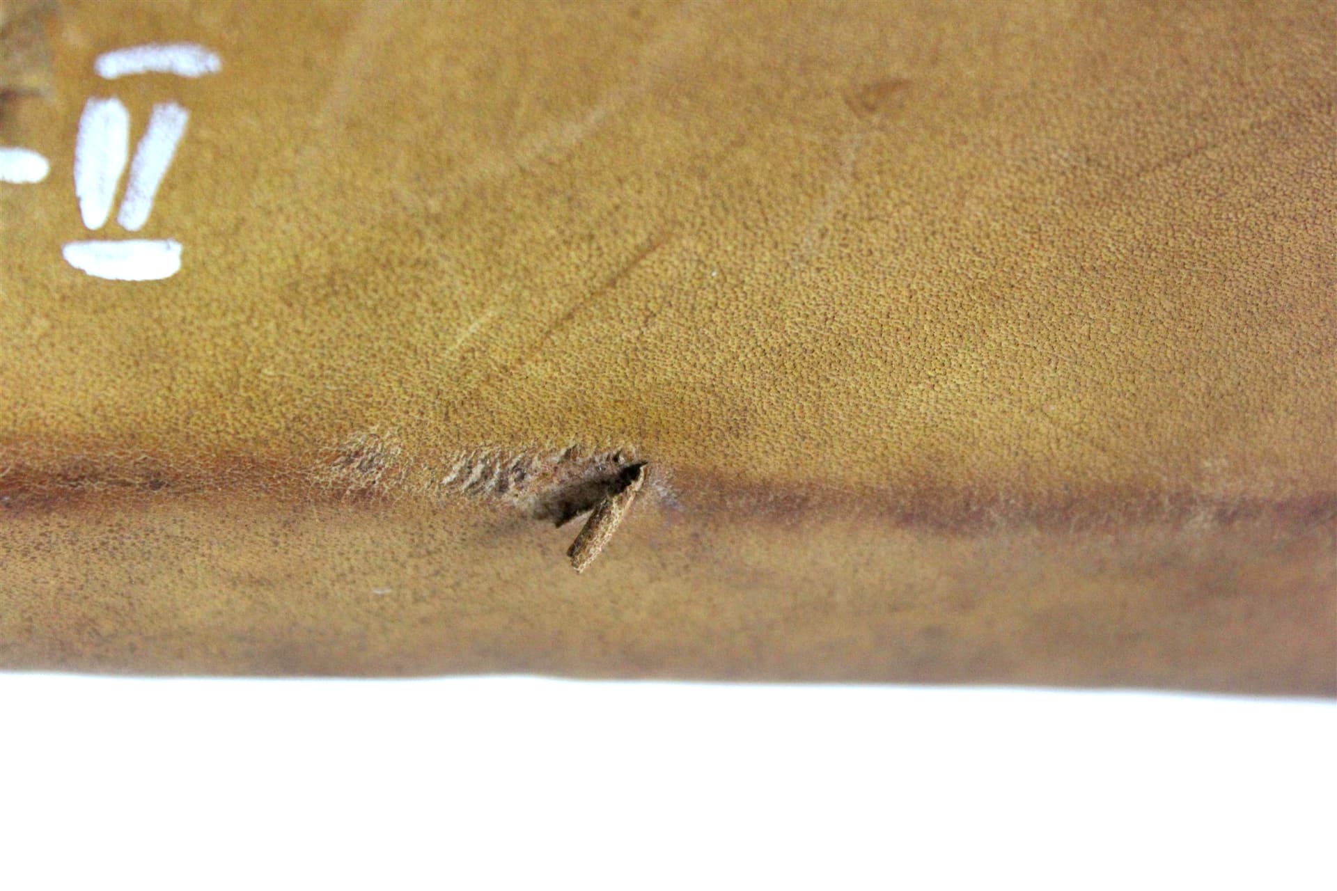 Koń gimnastyczny, skóra naturalna brązowa, stal szara, Polska, lata 50. - 167416