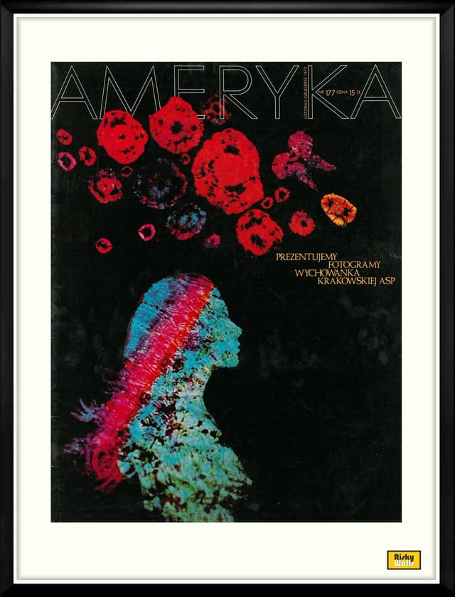 Oprawiona okładka miesięcznika AMERYKA z 1973 r,  aut. Richard Horowitz - WYMIARY