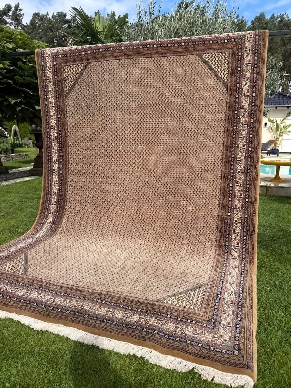 Rug Indo Mir Persian, brown, wool, India - 167859