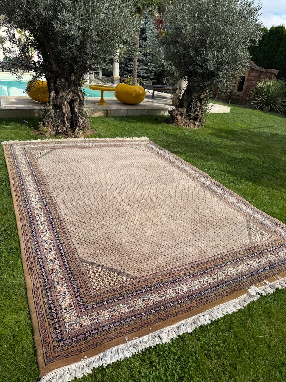 Rug Indo Mir Persian, brown, wool, India - 167864