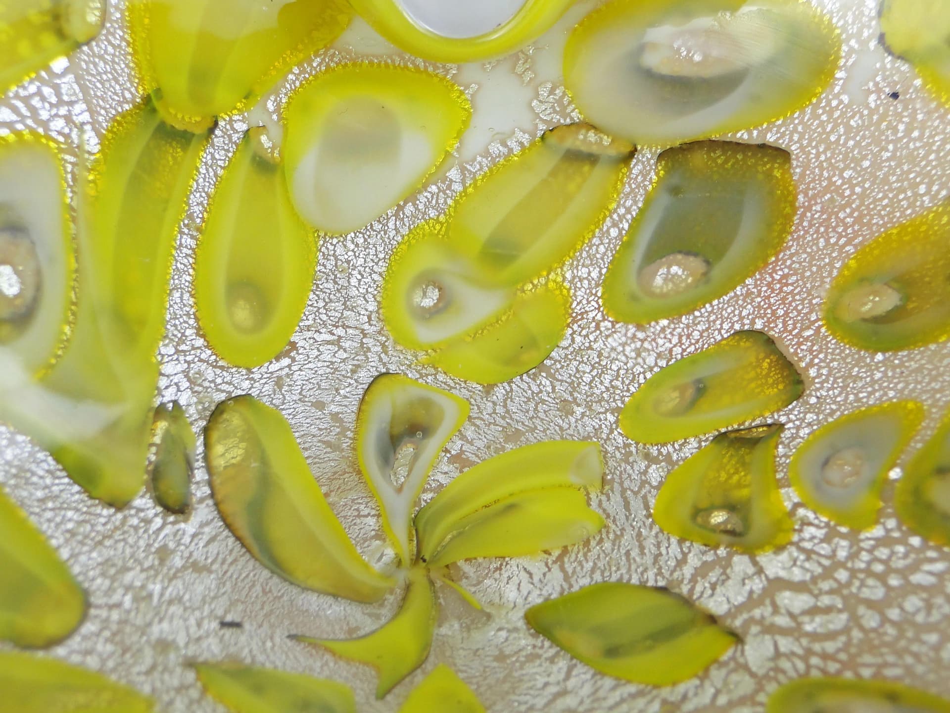 Murano Bowl, multicolor, glass, Galliano Ferro, Italy, 1950s - 10944