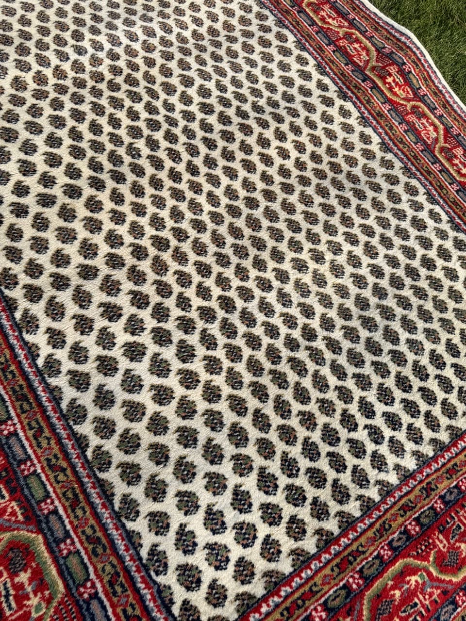 Rug Indo Mir, beige wool, India - 168333